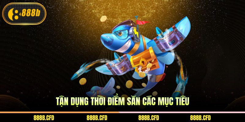 Tận dụng thời điểm săn các mục tiêu