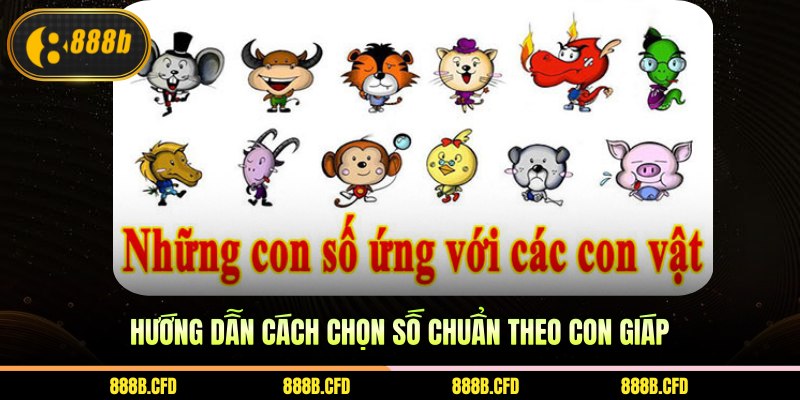 Hướng dẫn cách chọn số chuẩn theo con giáp