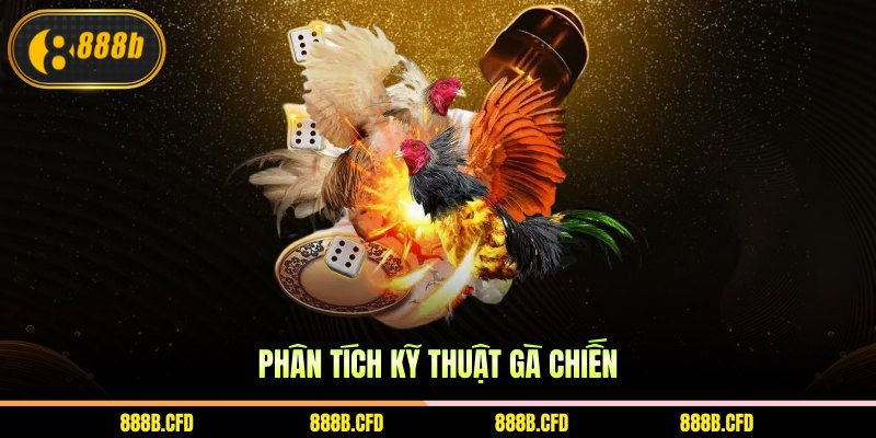 Phân tích kỹ thuật gà chiến