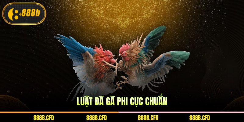Luật đá gà Phi cực chuẩn