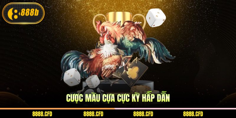 Cược màu cựa cực kỳ hấp dẫn
