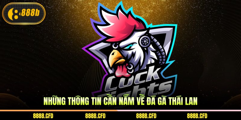 Những thông tin cần nắm về đá gà Thái Lan