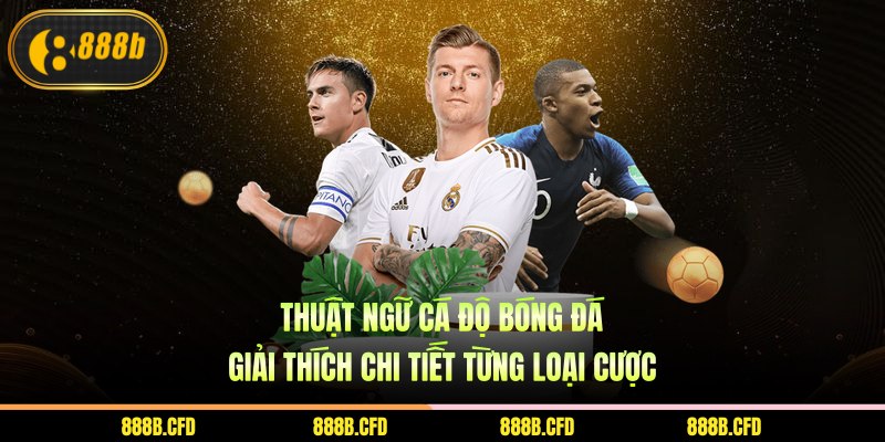 thuật ngữ cá độ bóng đá